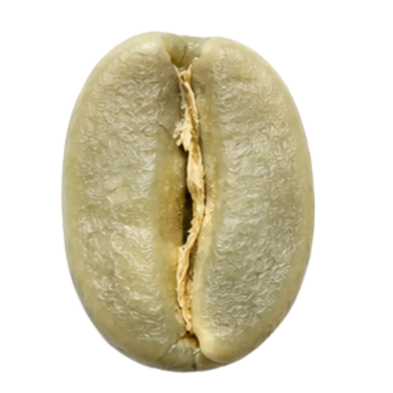 Sấy khô
