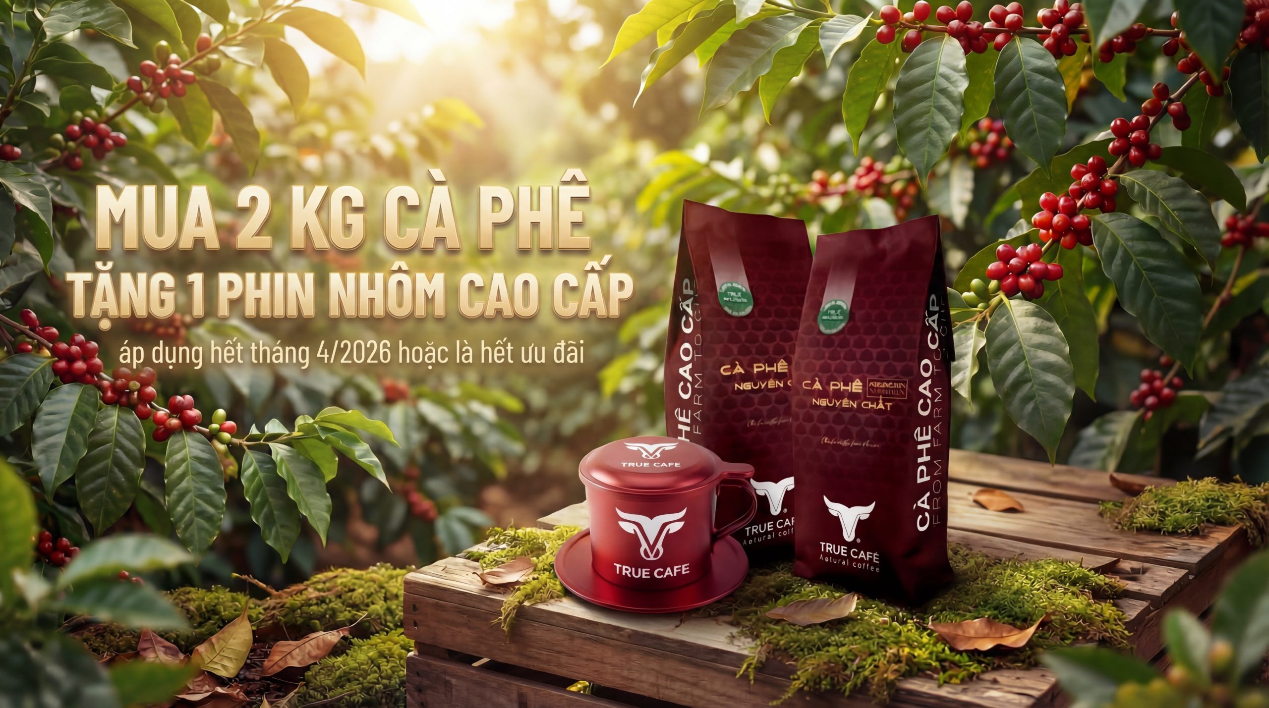 Phin Premnium – Ảnh 1 | True Cafe (truecafe.vn) Phin Premnium – Ảnh 1 | True Cafe (truecafe.vn)