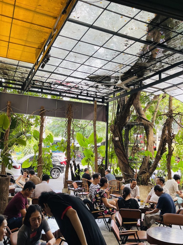 Khu ngồi mái kính phủ cây xanh của quán cà phê dùng cà phê True Cafe