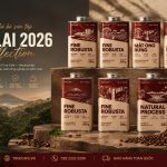 Gia Lai 2026 Collection
