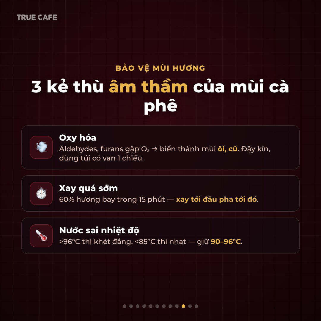Đồ hoạ ba kẻ thù của mùi hương cà phê: oxy hoá, xay quá sớm và nước sai nhiệt độ