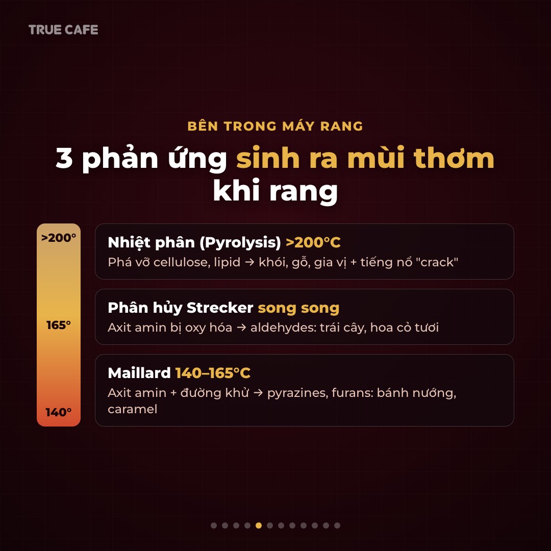 Sơ đồ ba phản ứng hoá học sinh hương khi rang cà phê theo dải nhiệt: Maillard, phân huỷ Strecker và nhiệt phân Sơ đồ ba phản ứng hoá học sinh hương khi rang cà phê theo dải nhiệt: Maillard, phân huỷ Strecker và nhiệt phân