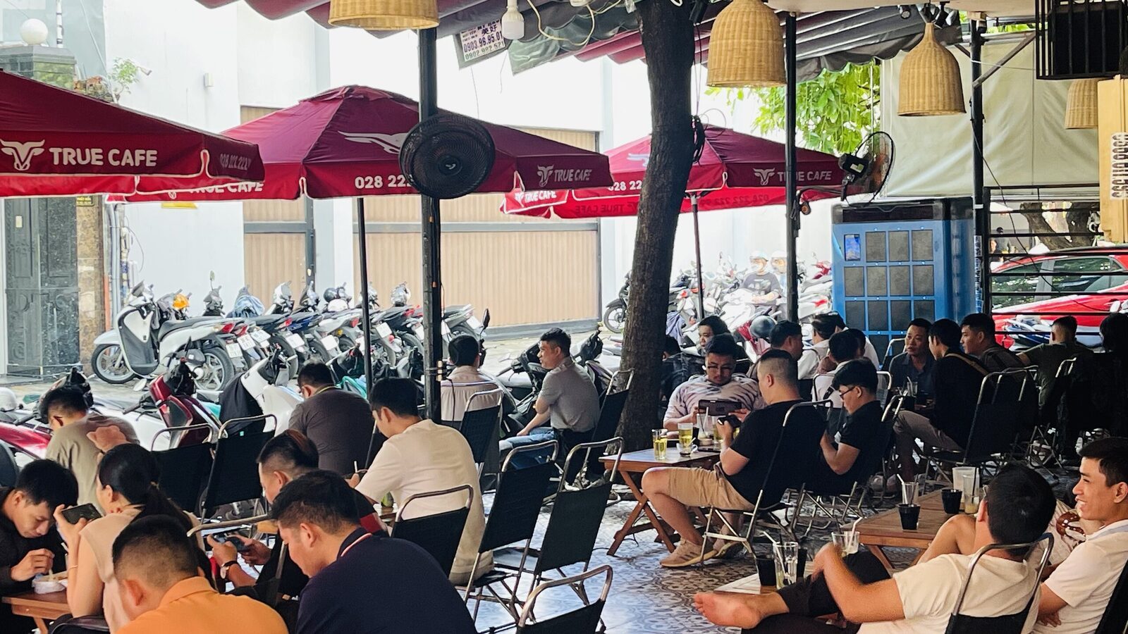 Toàn cảnh điểm bán quy mô lớn dùng cà phê True Cafe, dàn dù đỏ trải rộng