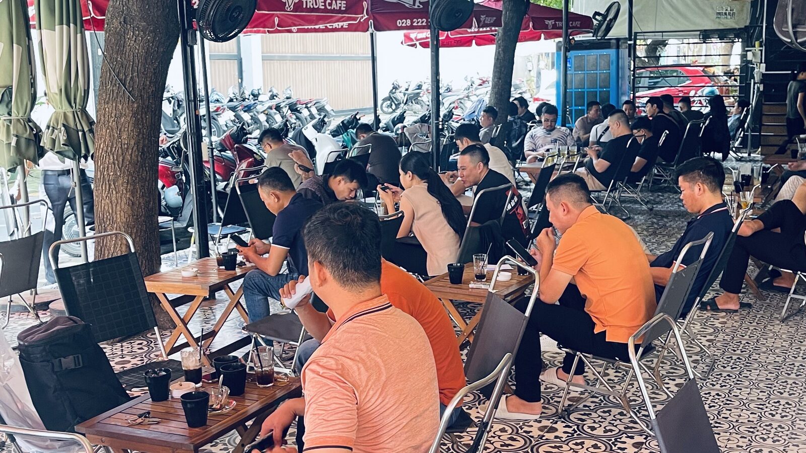 Quán cà phê dùng nguồn cà phê giá sỉ của True Cafe, khách ngồi kín bàn dưới dàn dù đỏ