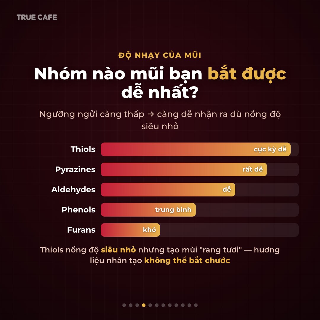 Biểu đồ xếp hạng độ nhạy của mũi người với năm nhóm hợp chất hương cà phê, thiols dễ nhận biết nhất Biểu đồ xếp hạng độ nhạy của mũi người với năm nhóm hợp chất hương cà phê, thiols dễ nhận biết nhất