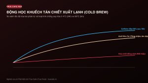 ĐỘNG HỌC KHUẾCH TÁN CHIẾT XUẤT LẠNH (COLD BREW)