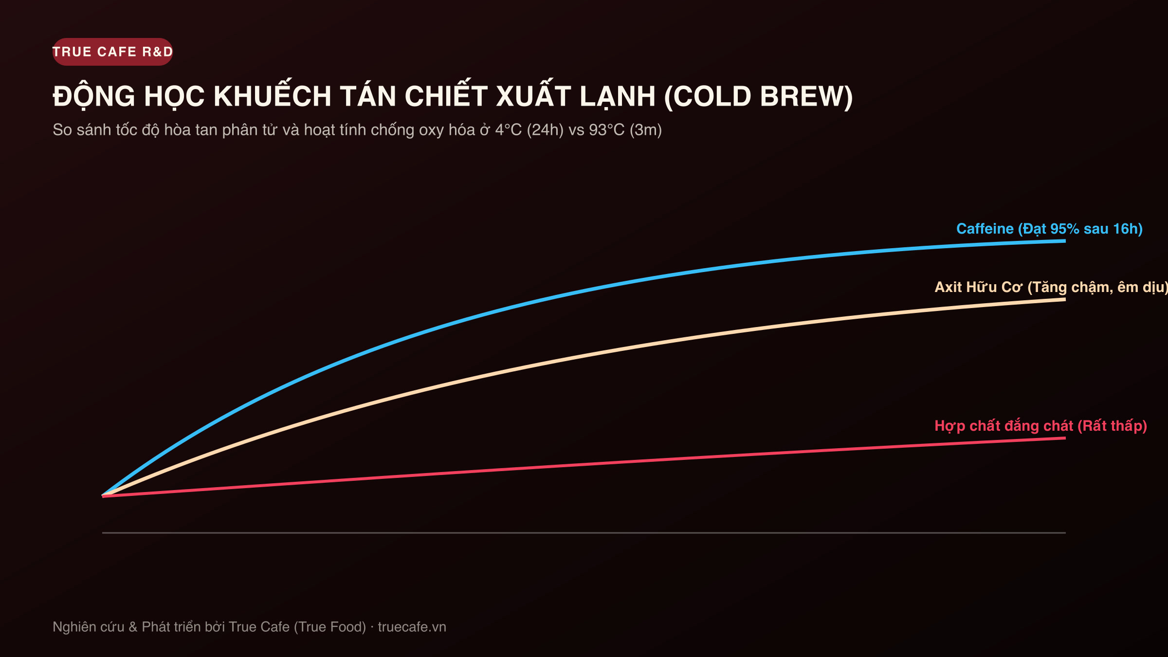 Biểu đồ động học chiết xuất lạnh Cold Brew: Tốc độ hòa tan caffeine, axit chlorogenic và nồng độ chất chống oxy hóa