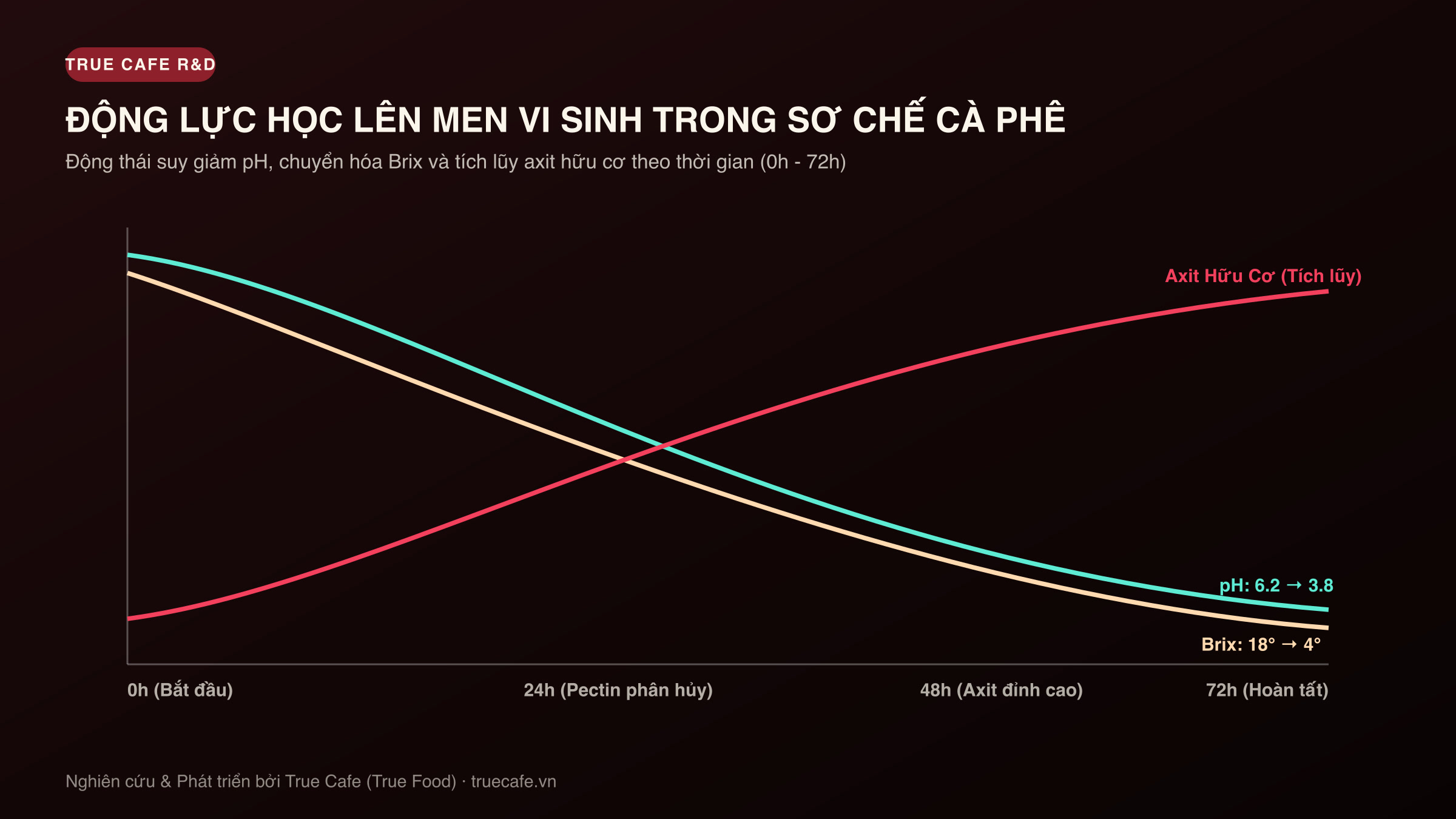 Đồ thị động lực học lên men vi sinh trong sơ chế cà phê: đường cong pH, đường Brix và axit hữu cơ từ 0 đến 72 giờ