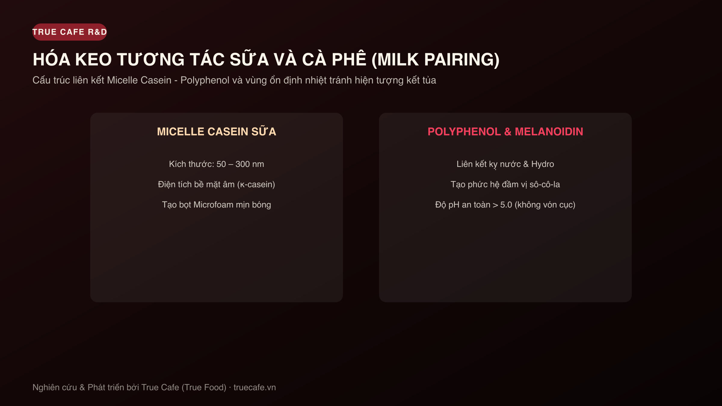 Sơ đồ hóa keo tương tác sữa và cà phê: Cấu trúc micelle casein, cầu nối polyphenol và độ bền nhũ tương