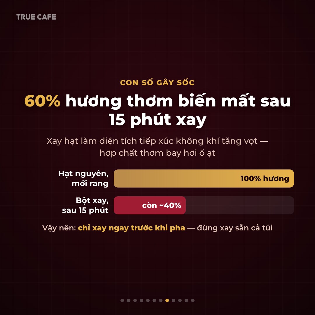 Biểu đồ so sánh hạt nguyên mới rang giữ 100% hương với bột xay sau 15 phút chỉ còn khoảng 40% Biểu đồ so sánh hạt nguyên mới rang giữ 100% hương với bột xay sau 15 phút chỉ còn khoảng 40%