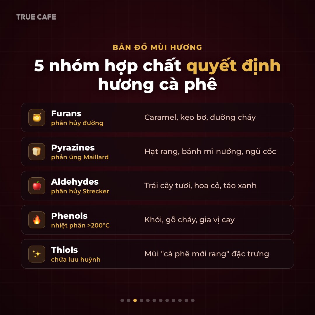 Đồ hoạ năm nhóm hợp chất tạo hương cà phê: furans, pyrazines, aldehydes, phenols và thiols Đồ hoạ năm nhóm hợp chất tạo hương cà phê: furans, pyrazines, aldehydes, phenols và thiols