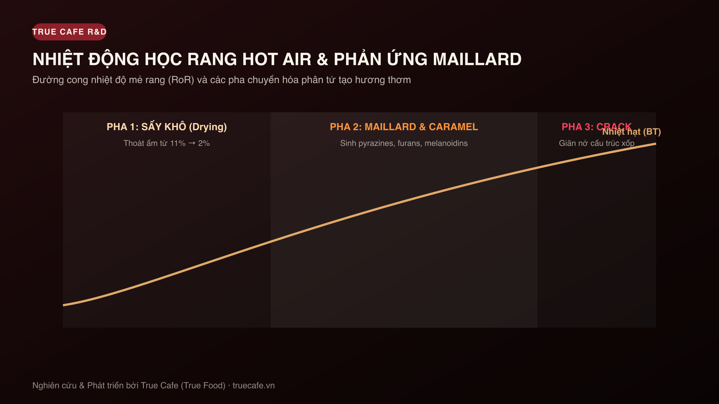 Đồ thị nhiệt động học rang cà phê Hot Air: Đường cong RoR, pha sấy, pha Maillard và pha phát triển hương