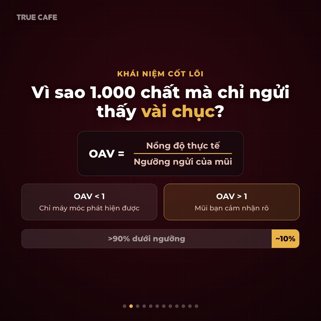 Đồ hoạ công thức OAV bằng nồng độ thực tế chia ngưỡng ngửi của mũi, hơn 90% hợp chất trong cà phê nằm dưới ngưỡng Đồ hoạ công thức OAV bằng nồng độ thực tế chia ngưỡng ngửi của mũi, hơn 90% hợp chất trong cà phê nằm dưới ngưỡng