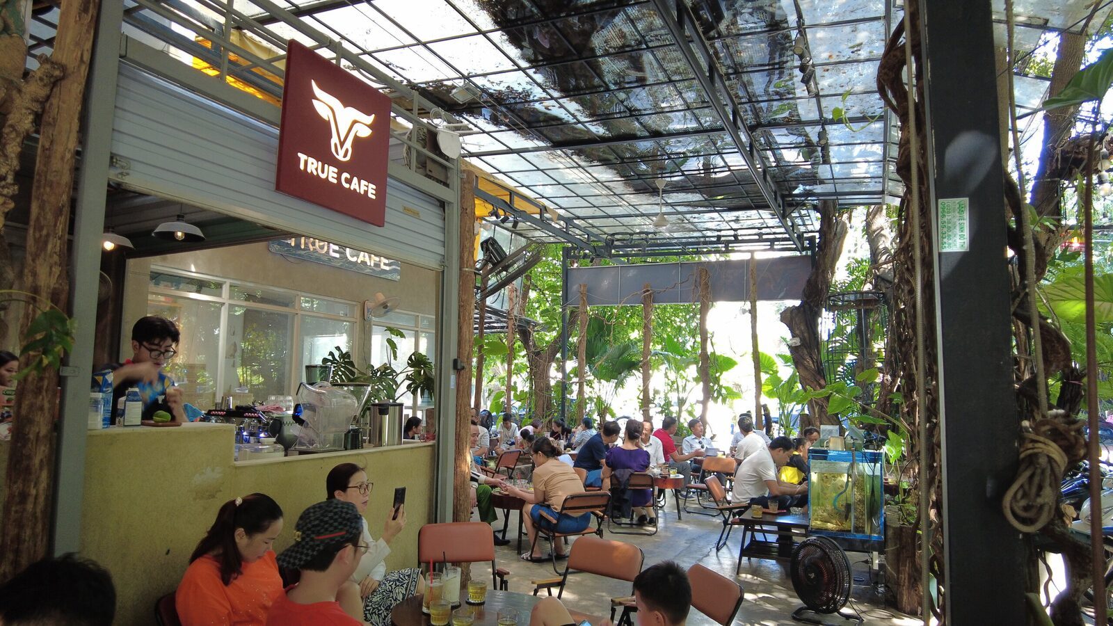 Điểm bán dùng cà phê True Cafe tại TP.HCM — ảnh minh hoạ cho bài quán cà phê đẹp Bình Thạnh