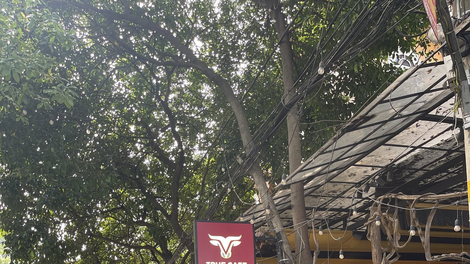 Điểm bán dùng cà phê True Cafe tại TP.HCM — ảnh minh hoạ cho bài quán cà phê đẹp Phú Nhuận