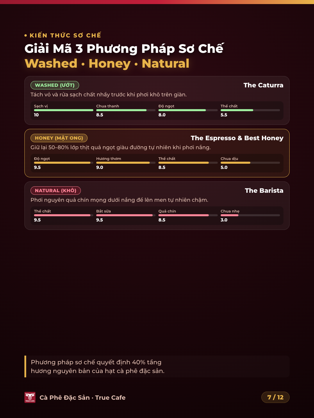 Biểu đồ so sánh 3 phương pháp sơ chế cà phê Washed Ướt, Honey Mật ong và Natural Khô tác động đến hương vị