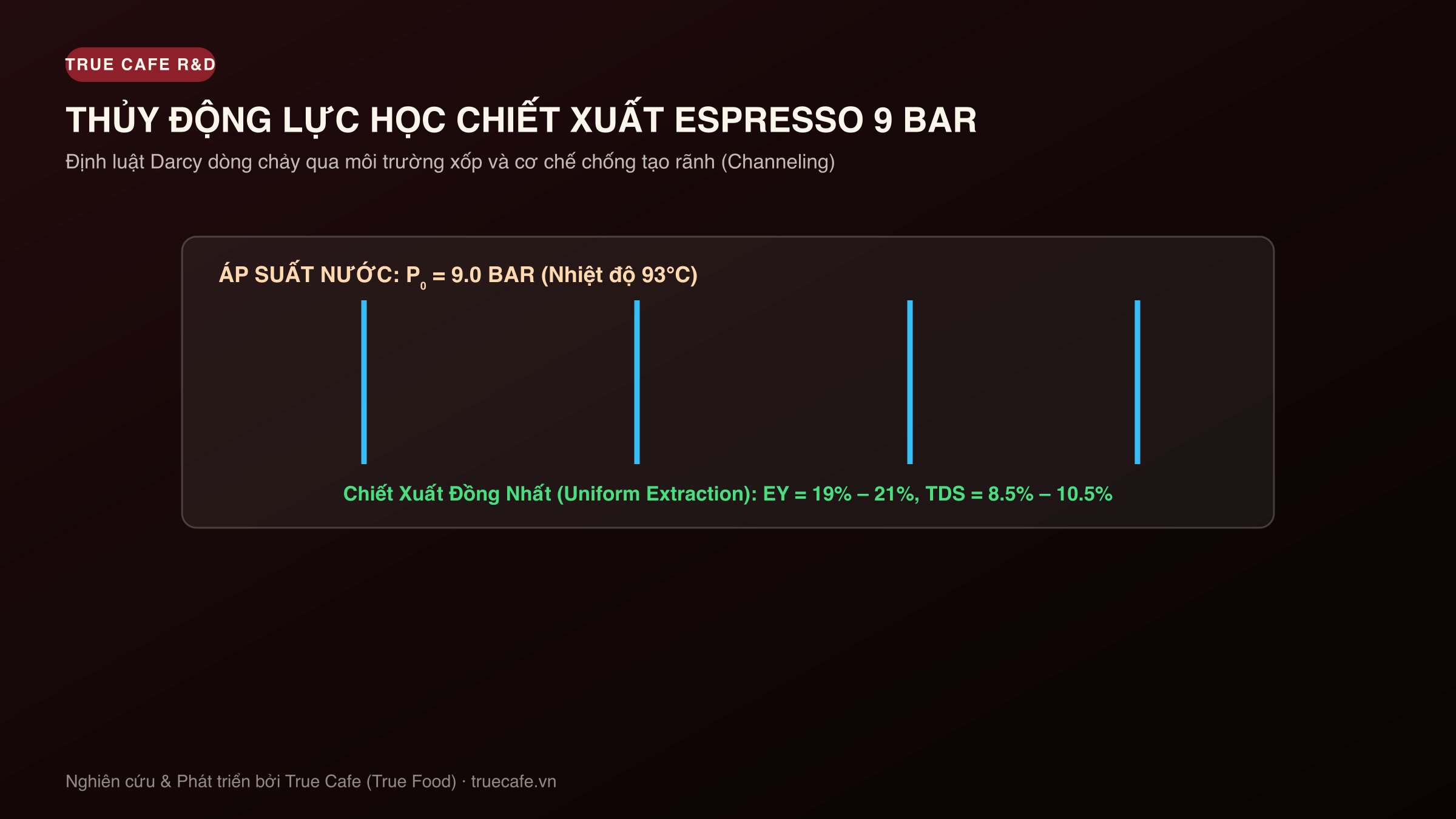 Sơ đồ thủy động lực học chiết xuất espresso: Định luật Darcy, phân bố áp suất 9 bar và dòng chảy vi mô
