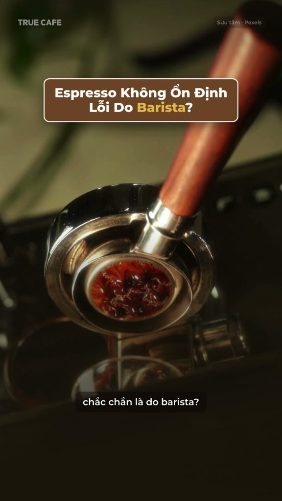 Tay pha espresso với cà phê trong tay cầm, khung mở đầu video bài học espresso không ổn định của True Cafe