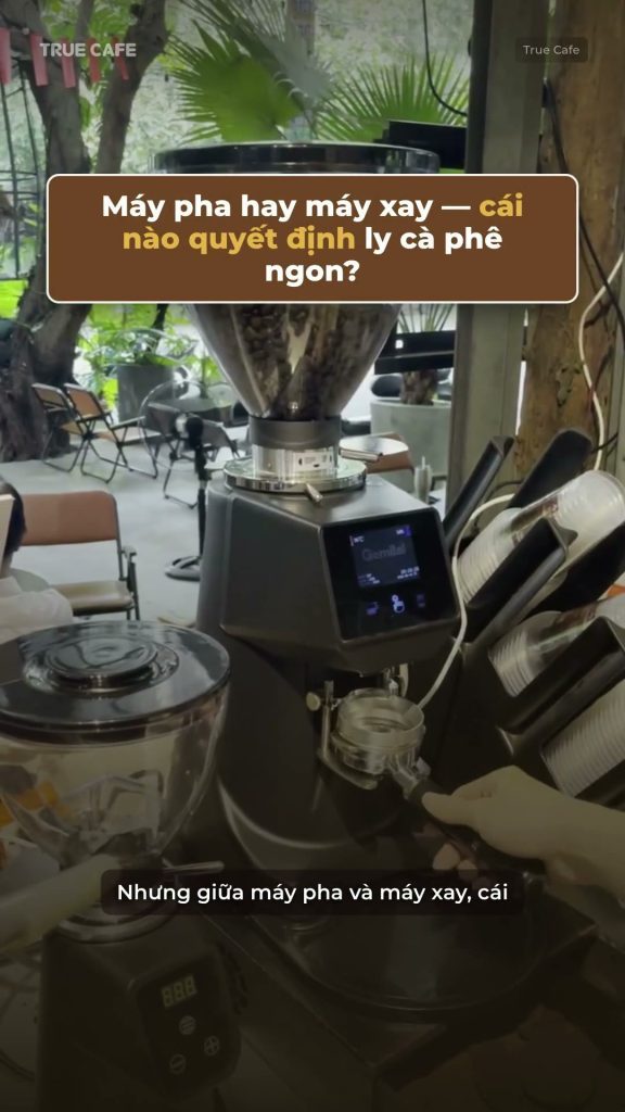 Máy xay cà phê đặt trên quầy bar của quán, khung mở đầu video bài học máy pha hay máy xay