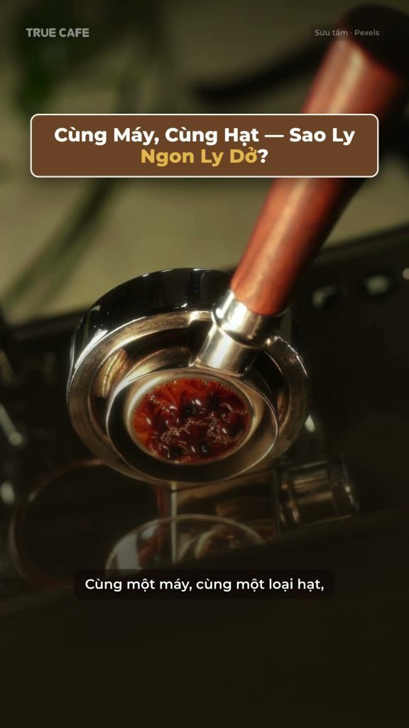 Tay cầm pha espresso trên máy, khung mở đầu video bài học chỉ số TDS và tỷ lệ chiết xuất